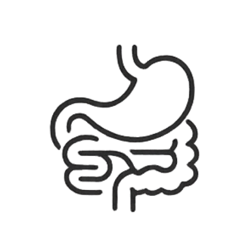 胃腸消化道外科